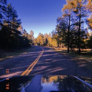 Meet your Posher, Kassidi